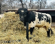 Higher Ground x Sunshine 